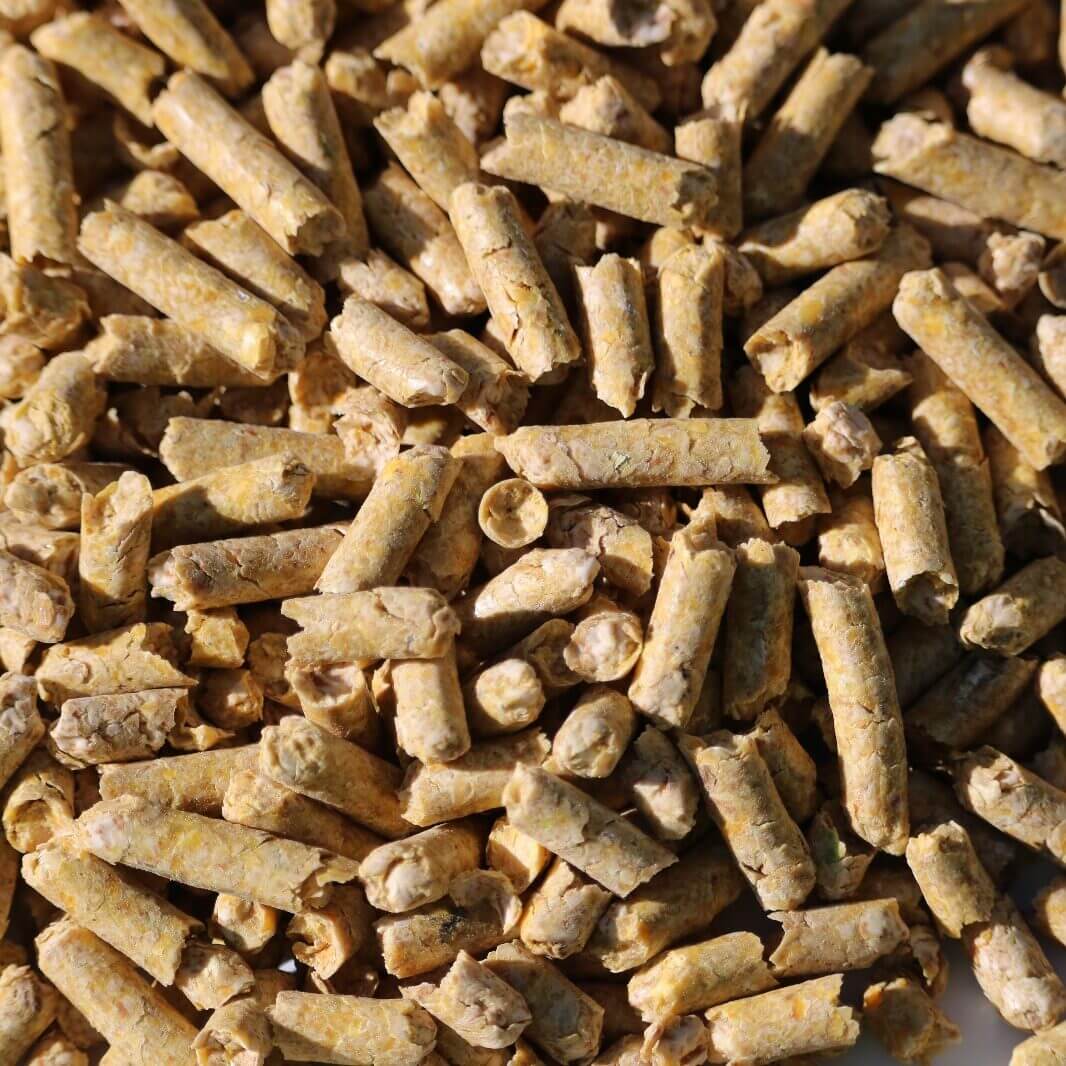 lupin fibre boost dry